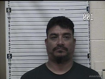 Noe P Hernandez Mugshot