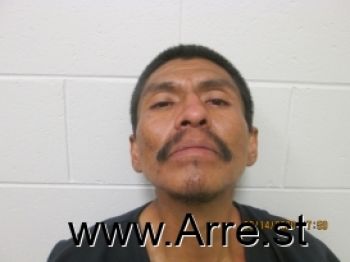 Norton  Apachito Mugshot