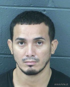 Oscar  Alvarenga-giron Mugshot