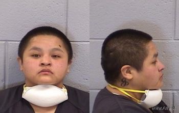 Ondrienna Nicole Martinez Mugshot