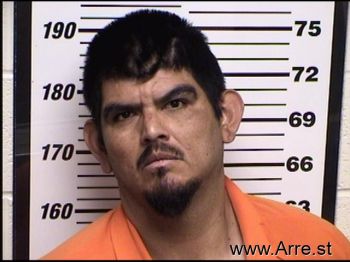 Orlando Martinez Garza Mugshot