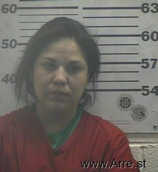 Patricia A Barela Mugshot