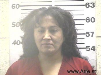 Patricia  Vigil Mugshot