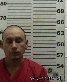 Pedro  Dominguez-ochoa Mugshot