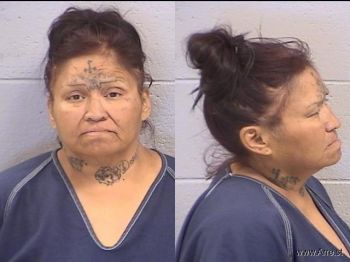 Rachel Ann Lopez Mugshot