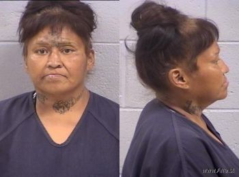 Rachel Ann Lopez Mugshot