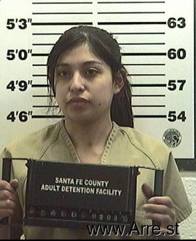 Raeann M Tapia Mugshot