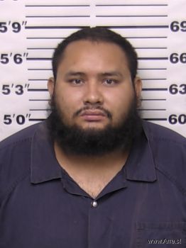 Ramon Arturo Ortega Mugshot