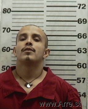 Randy  Hernandez Mugshot