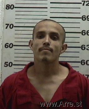 Randy  Hernandez Mugshot