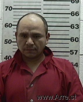 Raul  Delgado-ortiz Mugshot