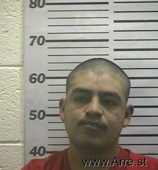 Raul  Hernandez-reyes Mugshot