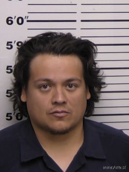 Raul  Moreno Mugshot