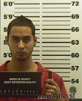 Raul A Pena Mugshot