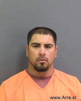 Raul Heron Pena Mugshot