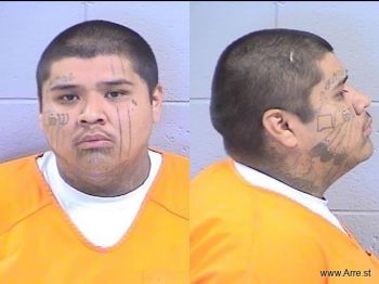 Raylon Valdis Castillo Mugshot