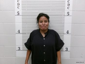 Rebecca  Apachito Mugshot