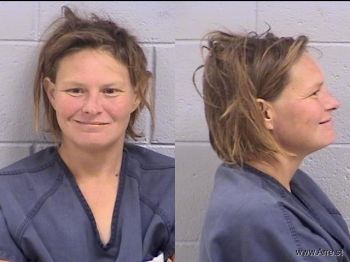 Rebecca Lois Willerford Mugshot