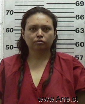 Renee S Ortiz Mugshot