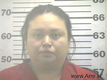 Renee S Ortiz Mugshot