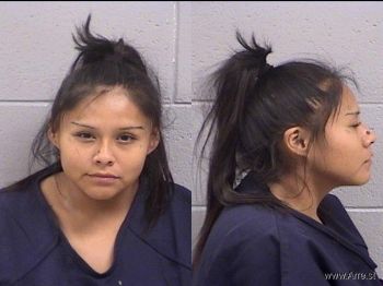 Rheannon Tamara Tinhorn Mugshot