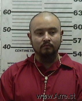 Ricardo  Andrade Mugshot