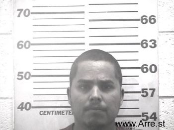 Ricardo  Dominguez Mugshot