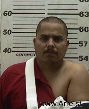 Ricardo  Dominguez-rodriguez Mugshot