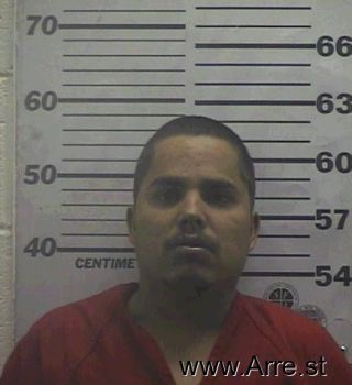 Ricardo  Dominguez-rodriguez Mugshot