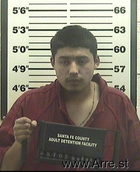 Ricardo  Gonzalez Mugshot