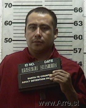 Ricardo  Ramirez-garcia Mugshot