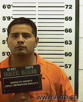 Richard I Gonzales Mugshot