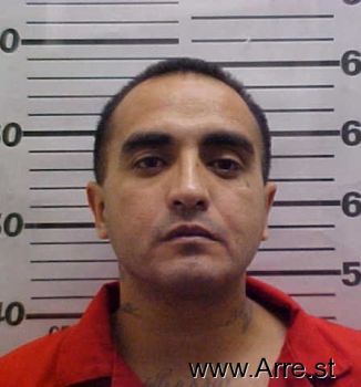 Richardo  Gonzales Mugshot