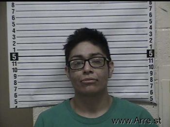 Rita A Armendariz Mugshot