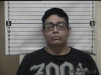 Rita A Armendariz Mugshot