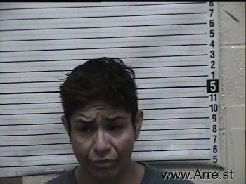 Rita A Armendariz Mugshot