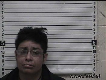 Rita A Armendariz Mugshot