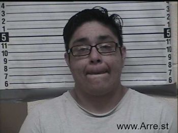 Rita A Armendariz Mugshot