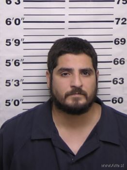 Robert Henry Luna Mugshot