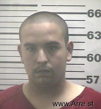 Robert J Medina Mugshot