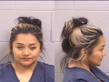 Roberta Cheryl Baeza Mugshot