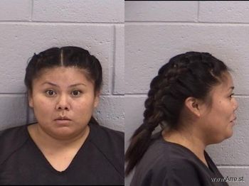 Robin Lynn Pioche Mugshot