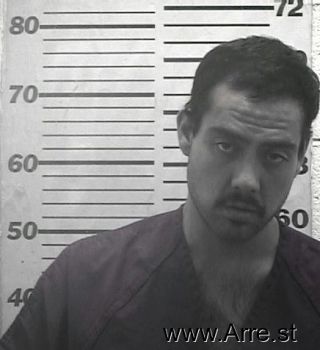 Ronnie  Chavez Mugshot