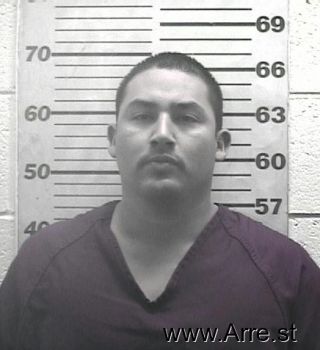 Rudy  Castro Mugshot