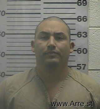 Rudy  Castro Mugshot