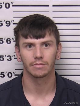 Ryan Taylor Jenkins Mugshot