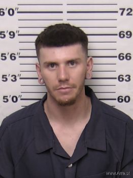 Ryan Taylor Jenkins Mugshot