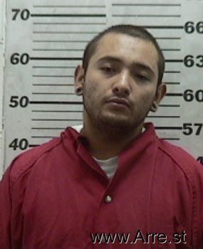 Ryan  Martinez Mugshot