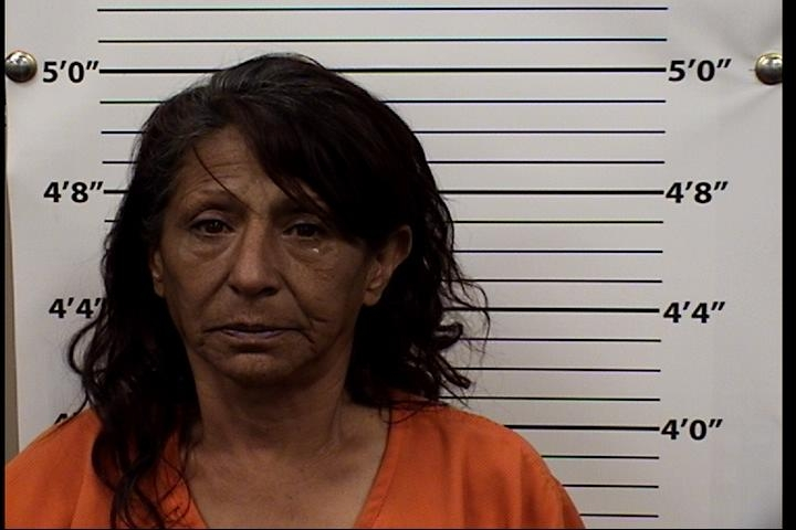 Sandra  Dobbins Mugshot