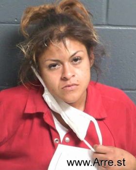 Sarah  Ochoa Mugshot